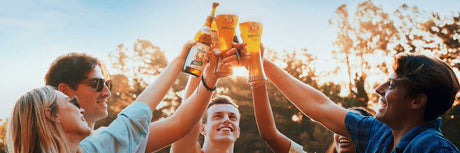 erdinger banner